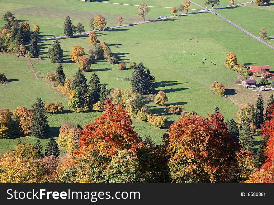 Autumn tree and fields in Bavaria, Germany. Autumn tree and fields in Bavaria, Germany