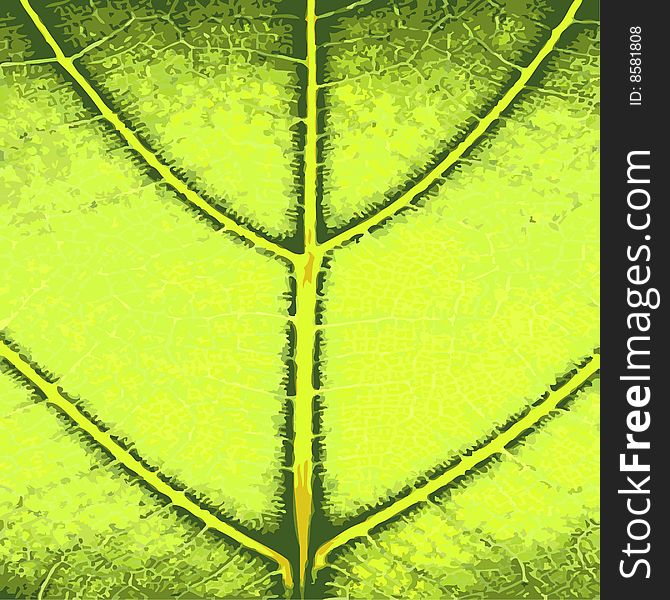 A digital vector illustration of green leaf close up.