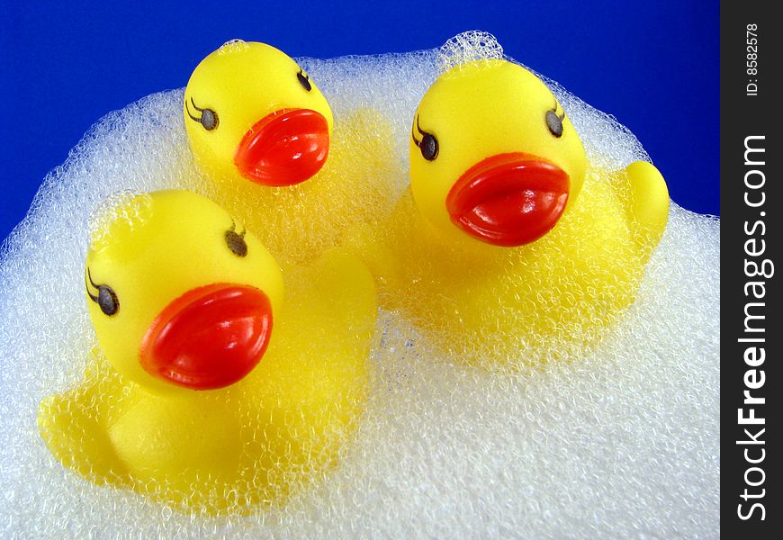 Three rubber duckies floating in a bubble bath with a blue background. Three rubber duckies floating in a bubble bath with a blue background