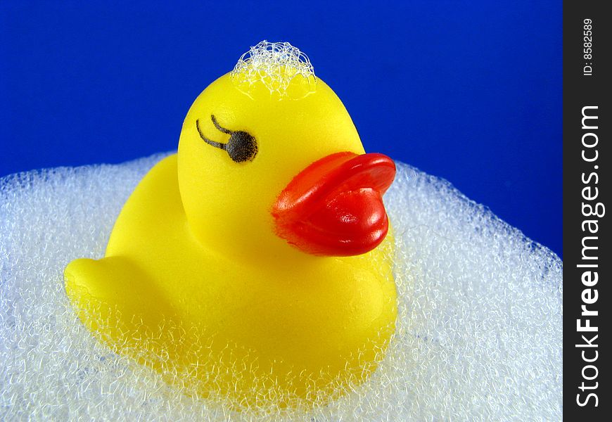 A small yellow rubber ducky with soap suds on a blue background. A small yellow rubber ducky with soap suds on a blue background