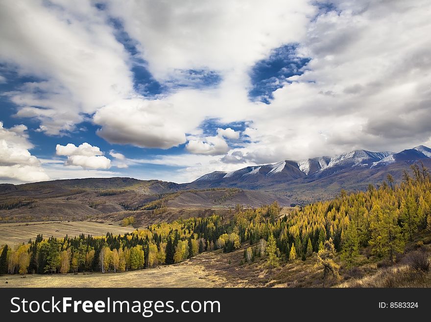Blue sky with white clouds , mountains and forest. Blue sky with white clouds , mountains and forest