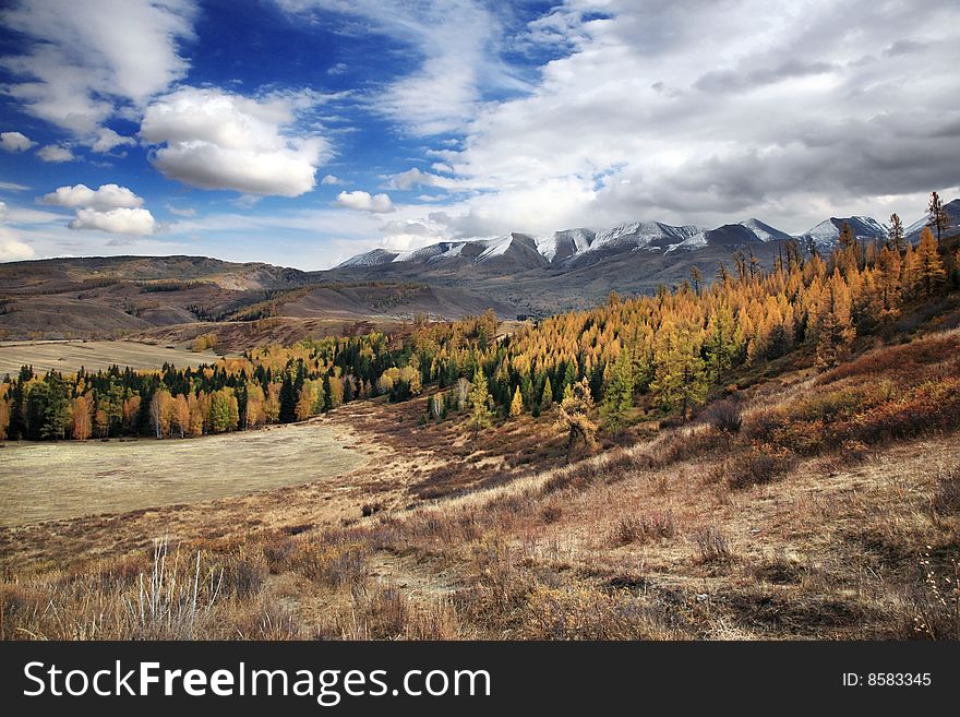 Mountains and forest