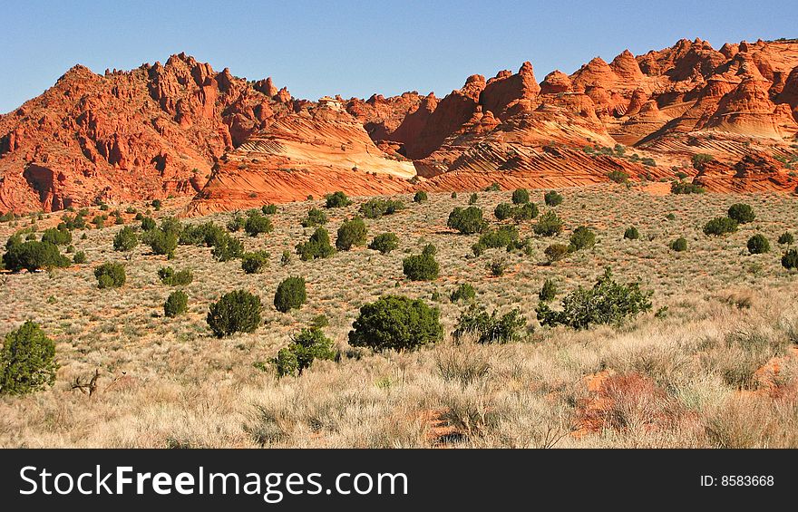 South Coyote Buttes Landscape