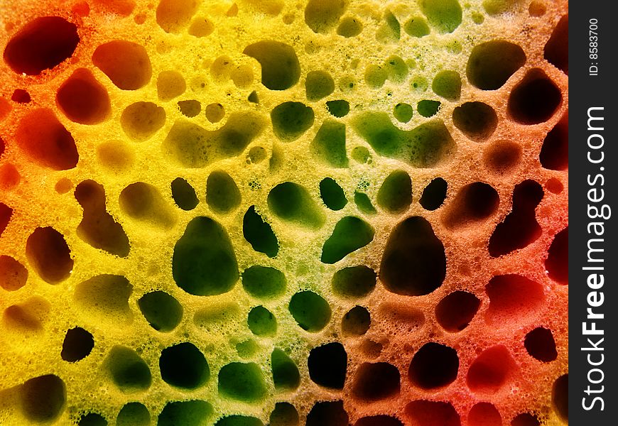 Relief structure of a surface of a sponge from polymer. Relief structure of a surface of a sponge from polymer