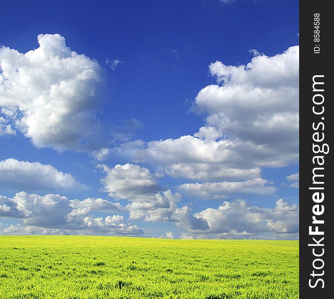 Field on a background of the blue sky