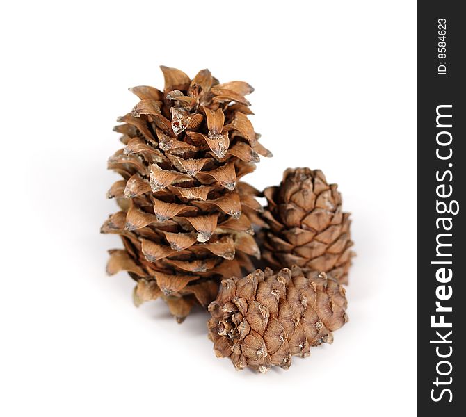 Three Siberian Pine Cones on White Background. Three Siberian Pine Cones on White Background