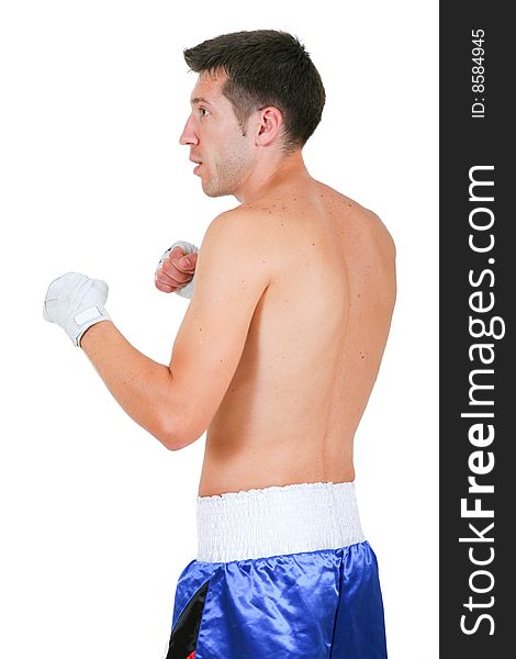 Boxer on a white background
