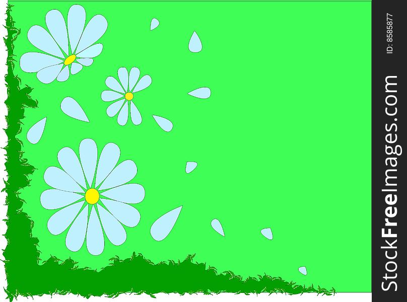 The  image of colours of a camomile on a green background