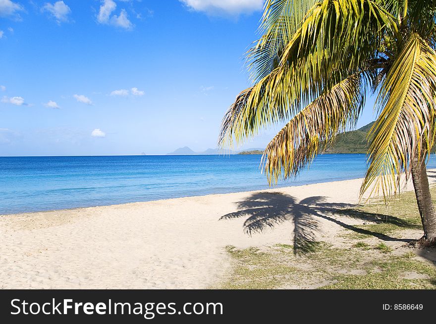 Long beach in Martinique island. Long beach in Martinique island
