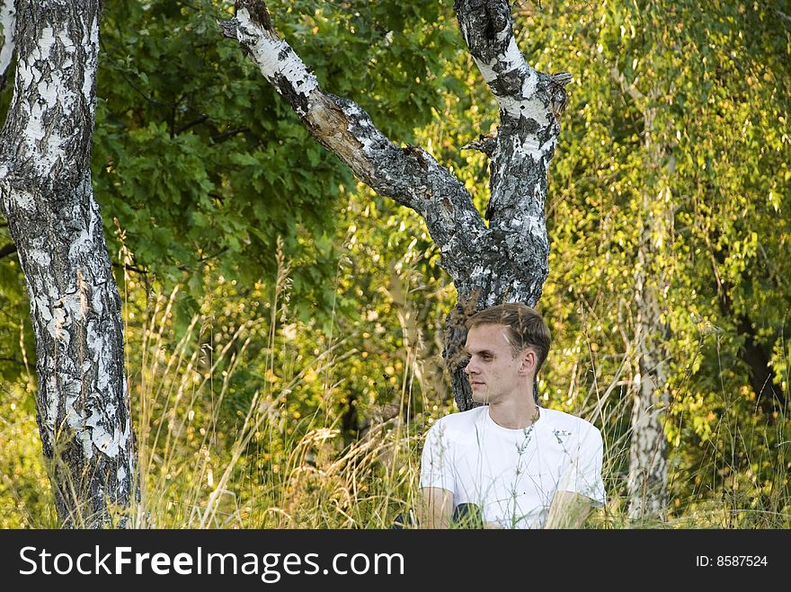 Fellow at a birch