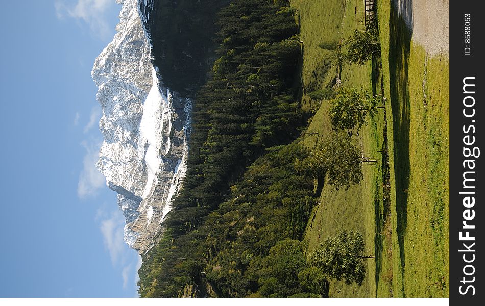 A view in an alpine valley. A view in an alpine valley.