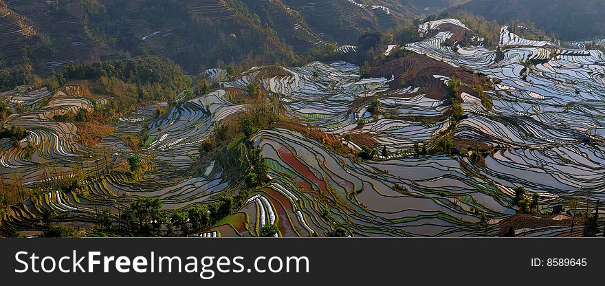 Yuanyang County, Yunnan Province China Ailaoshan the southern section of the Hani Hani Terrace is the local people for thousands of years by the sweat of the mountain opened up dozens of hectares of irrigation terraces, known as the wonders of the world, this map is one of the largest and most spectacular momentum The terraced fields. Yuanyang County, Yunnan Province China Ailaoshan the southern section of the Hani Hani Terrace is the local people for thousands of years by the sweat of the mountain opened up dozens of hectares of irrigation terraces, known as the wonders of the world, this map is one of the largest and most spectacular momentum The terraced fields.