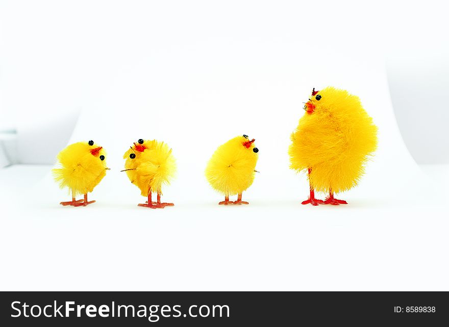 Easter chickens family on white background