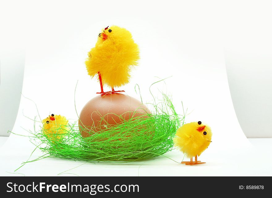 Easter chickens family on white background