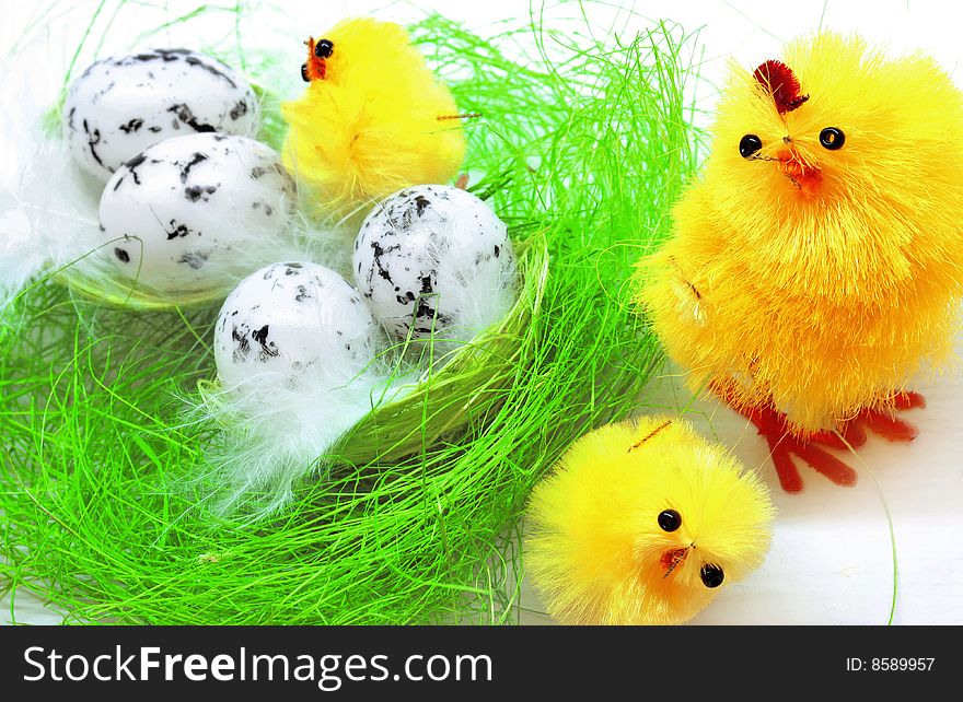 Easter chickens family on white background