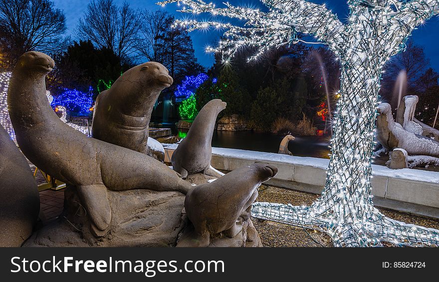 Sea Lion statues during the Wild Lights Christmas display at the St. Louis Zoo. Sea Lion statues during the Wild Lights Christmas display at the St. Louis Zoo.