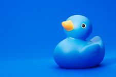 Blue Rubber Duck On Blue Background Stock Images Blue Rubber Duck On Blue Background Stock Images