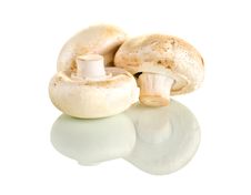 Fresh Mushrooms Stock Images Fresh Mushrooms Stock Images