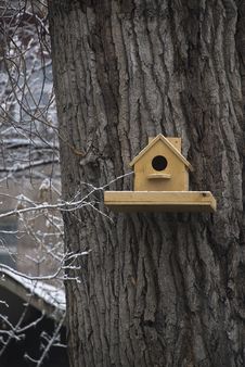 Nestling Box On The Tree Royalty Free Stock Images