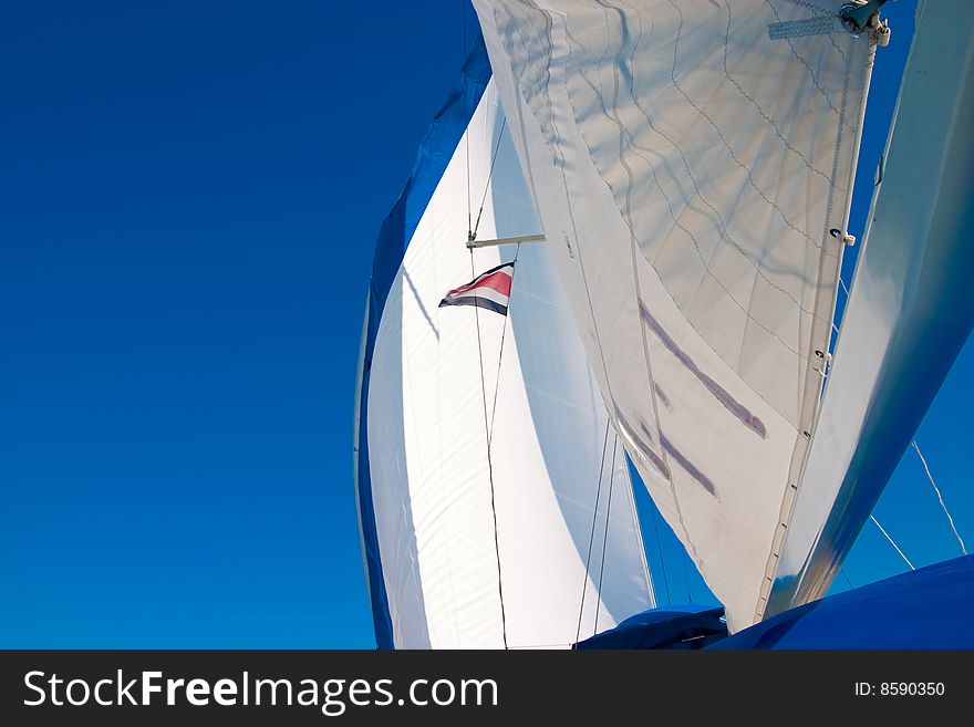 White sails against blue skies