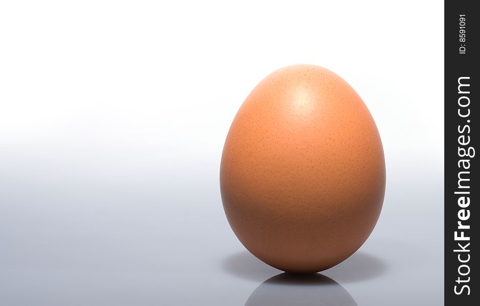 Brown egg isolated at right