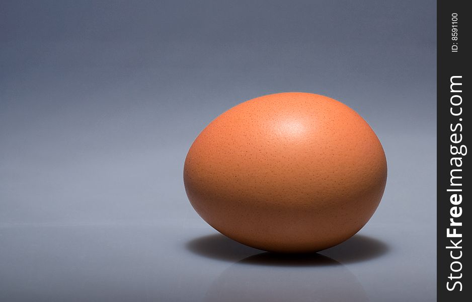 Single brown egg isolated on right leaving copy space. Single brown egg isolated on right leaving copy space