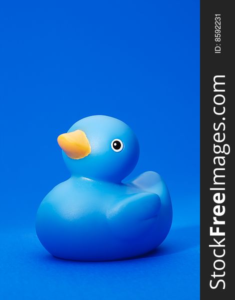 Blue Rubber Duck On Blue Background