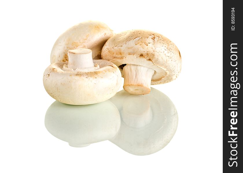 Fresh mushrooms with reflection on white