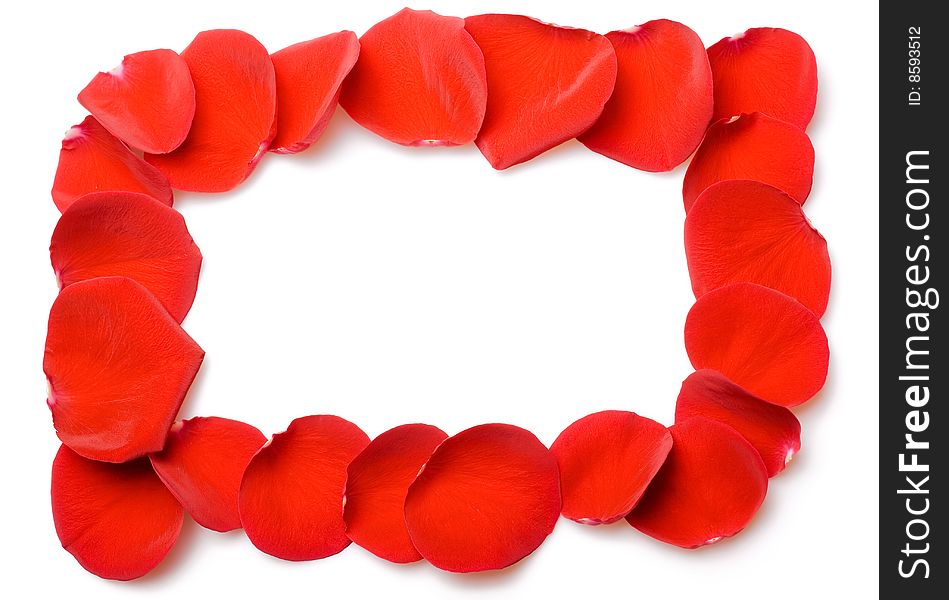 Beautiful red roses petals close up. Beautiful red roses petals close up