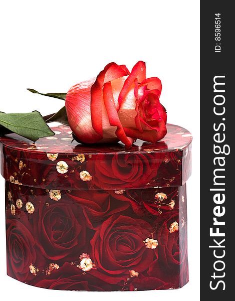 Red gift box with rose