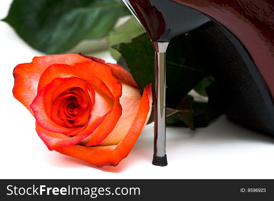 Shoes with rose isolated on white background