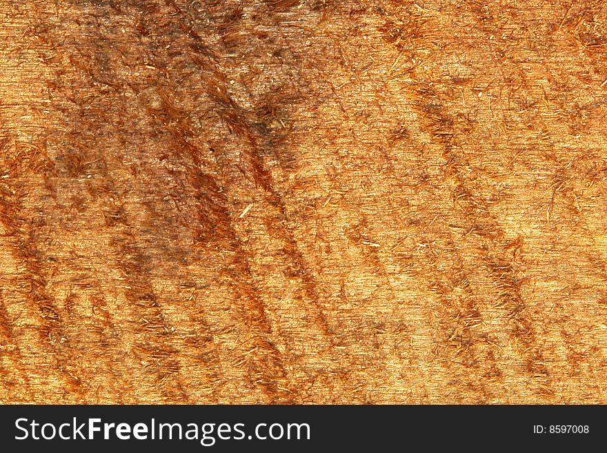 Wood old texture with natural light, photo image
