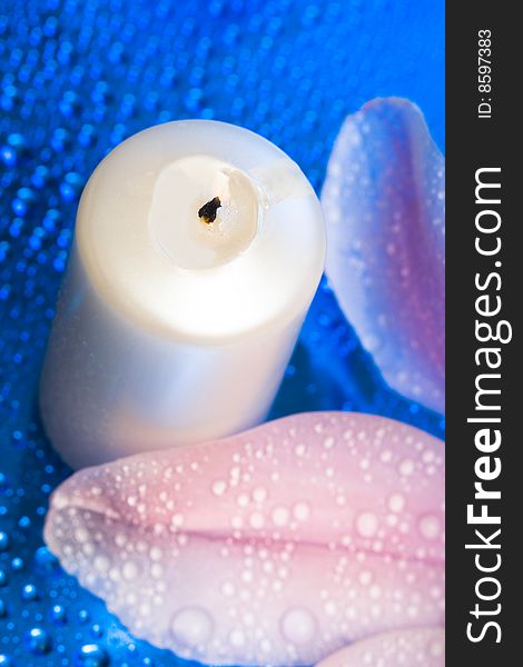 Candle with flower on blue background