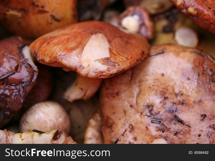 Brown fresh mushrooms on the kitchen. Brown fresh mushrooms on the kitchen