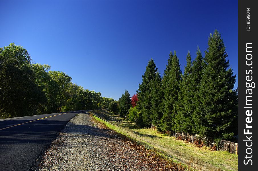 A way which is along Sacramento river is like a endless trip. A way which is along Sacramento river is like a endless trip.