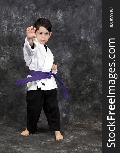 A young boy in fight stance martial arts pose wearing a purple belt. A young boy in fight stance martial arts pose wearing a purple belt