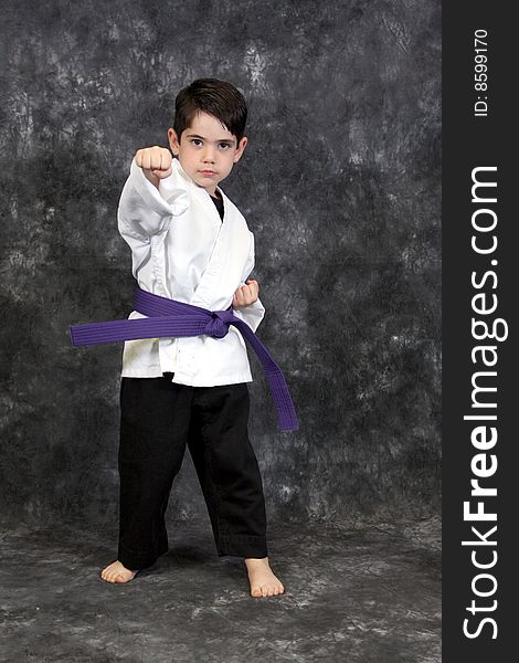 A young boy in fight stance martial arts pose wearing a purple belt. A young boy in fight stance martial arts pose wearing a purple belt