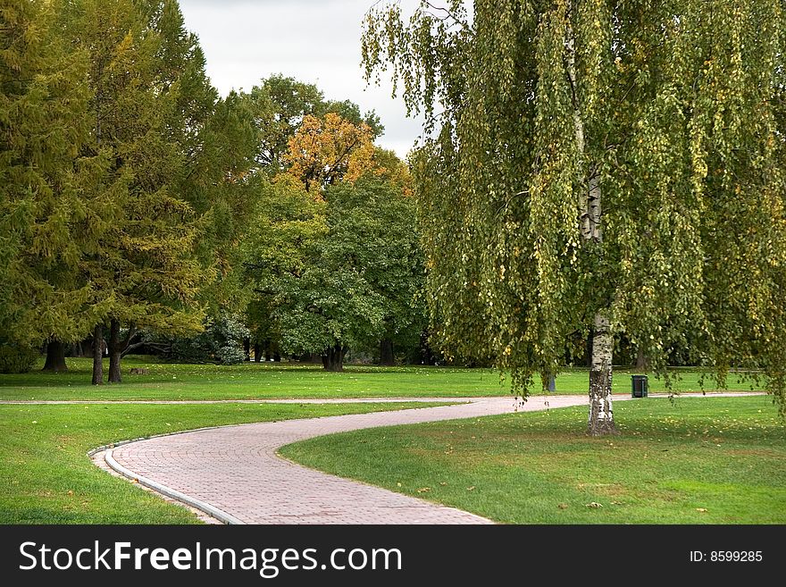 A view of a park path with a birch on a cloudy day. A view of a park path with a birch on a cloudy day