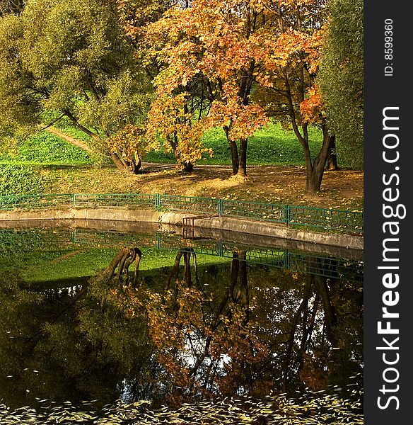 An autumn tree with yellow and red leaves reflecting in water. An autumn tree with yellow and red leaves reflecting in water