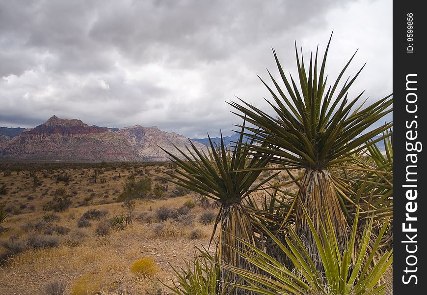 Near Las Vagas Nevada just before a storm