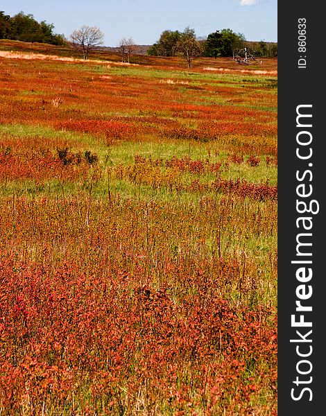 Colorful Big Meadow in Shenandoah National Park