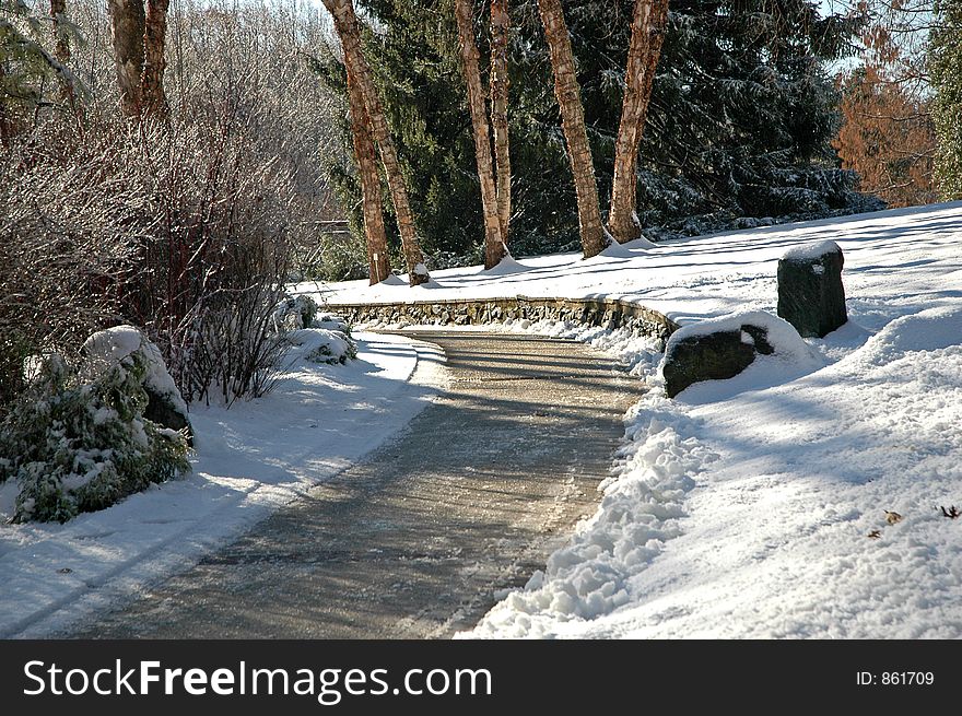 First Snowfall Of The Winter