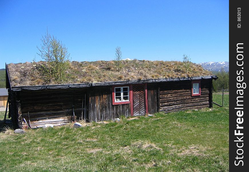 Norwegian mountain pasture for summer dairy farming