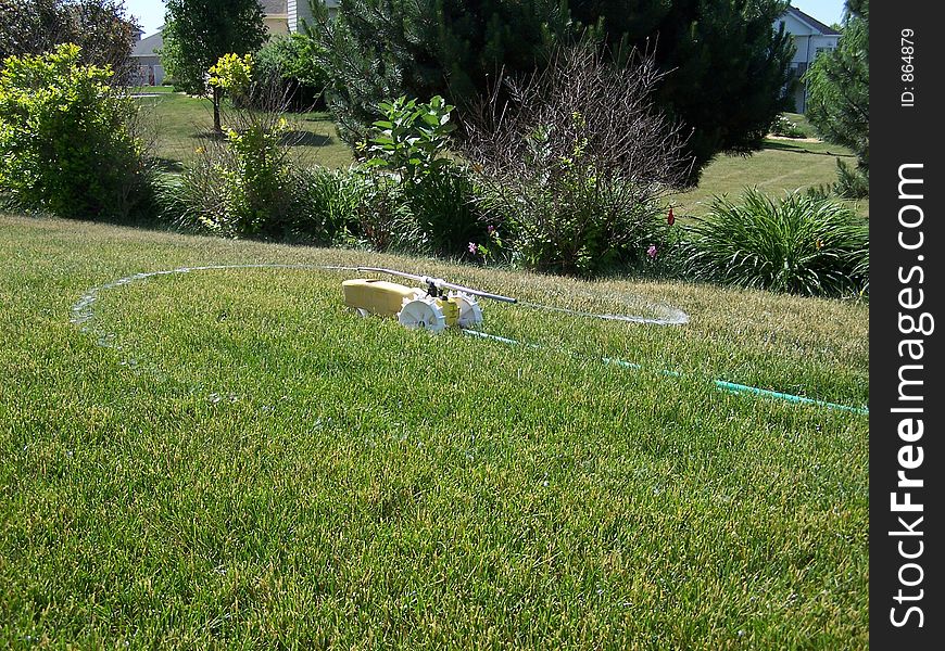 A picture of a lawn sprinkler watering a dry Iowa lawn.