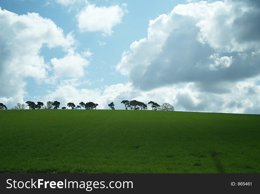 Grass And Sky