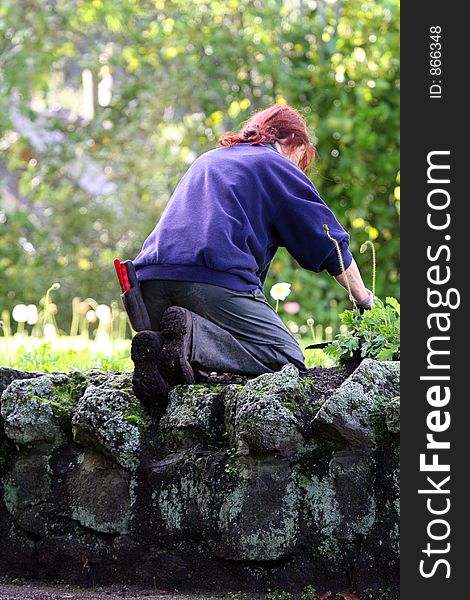 Woman gardening from behind, kneeled down