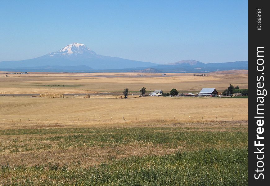 A view of the volcano, Mount Adams, in Washington State ranch lands. A view of the volcano, Mount Adams, in Washington State ranch lands.