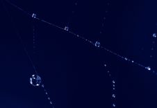 Blue Drops On Dark Blue Stock Images Blue Drops On Dark Blue Stock Images