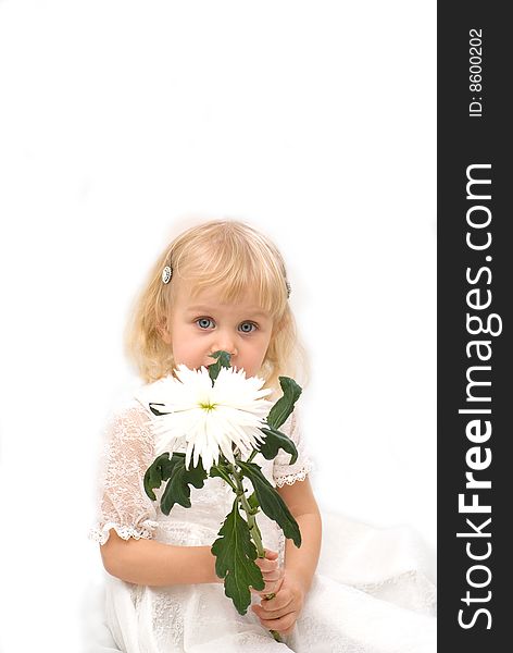 Little girl holds a white flower. Little girl holds a white flower