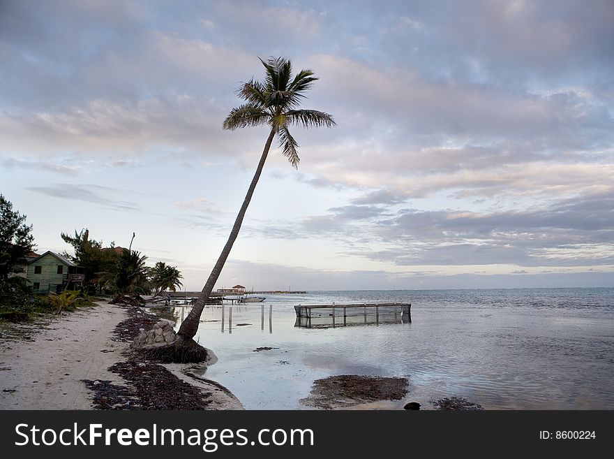 A lone palm and fish-holding pen at sunset along the shore of Ambergris Caye in Belize. A lone palm and fish-holding pen at sunset along the shore of Ambergris Caye in Belize.